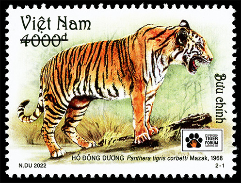 Việt Nam phát hành bộ tem về hổ nhân dịp Diễn đàn quốc tế về bảo tồn hổ - Ảnh 1.