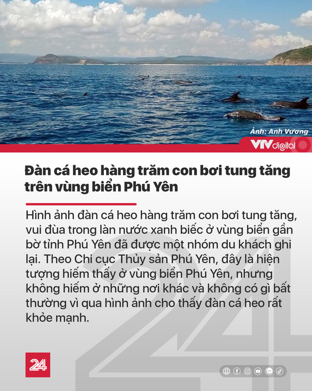 Tin nóng đầu ngày 20/9: Một số khu du lịch, nghỉ dưỡng ở Đà Nẵng mở cửa trở lại sau 2 tháng im lìm - Ảnh 7.